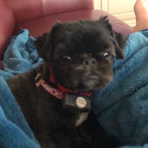 Meet your Posher, Meredith